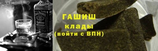 стаф Алзамай