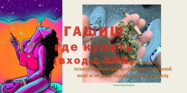 стаф Алзамай