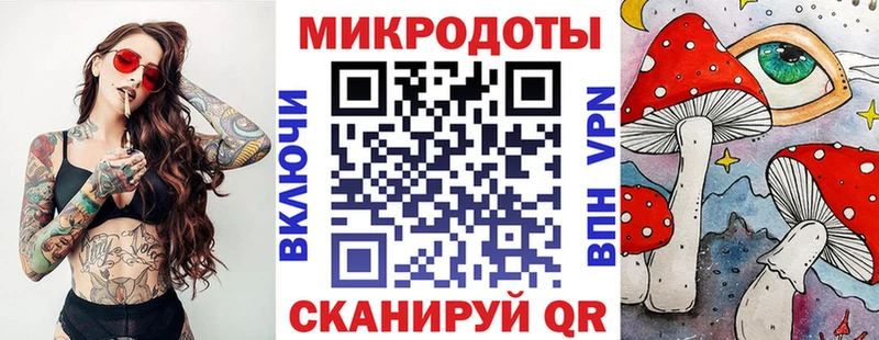Галлюциногенные грибы Psilocybe  Саранск 